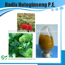 Extrait d&#39;herbes de haute qualité Radix Notoginseng PE